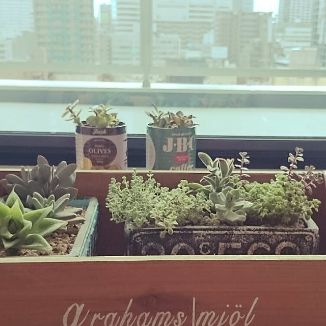masayoshikun100さんの実例写真