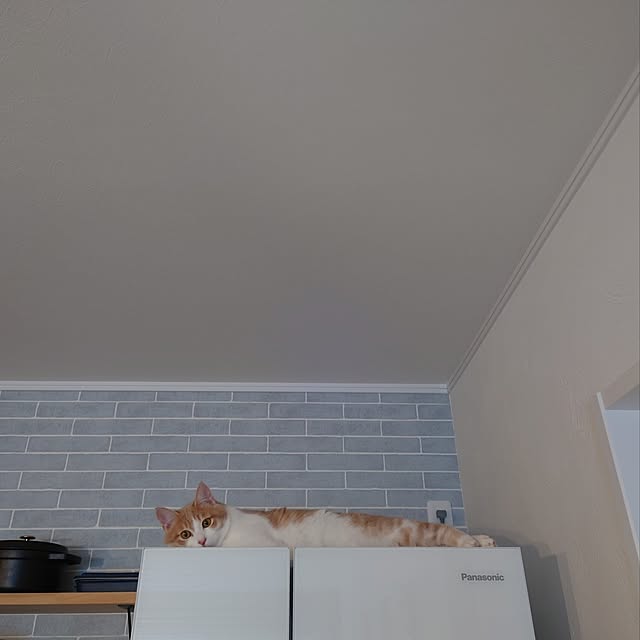 csさんの実例写真