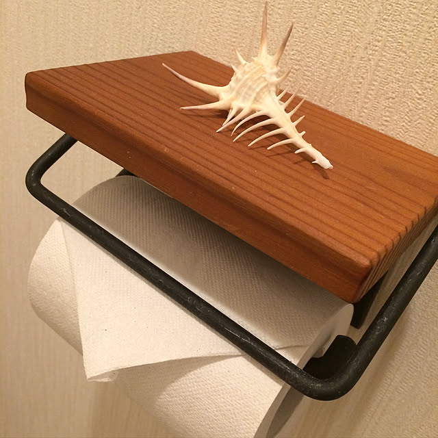 popoaさんの実例写真