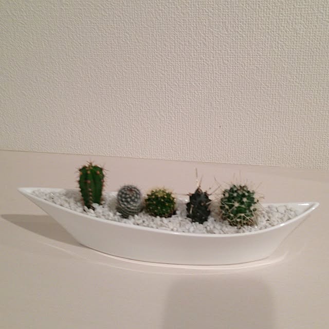 kaorinさんの実例写真