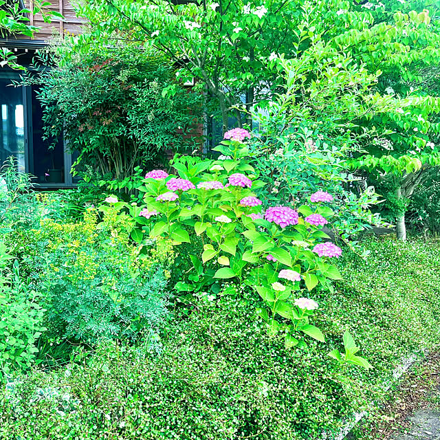 Erikoさんの部屋