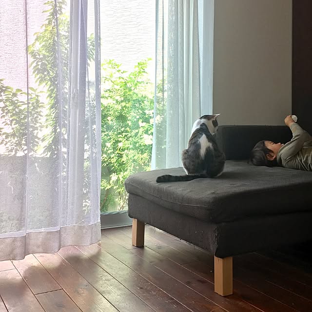 Yukaさんの実例写真