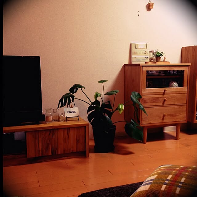 kinakoさんの実例写真