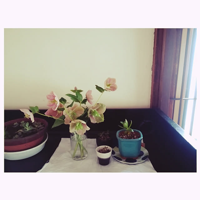 cantiamoさんの実例写真