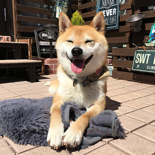 ronmaruさんの実例写真