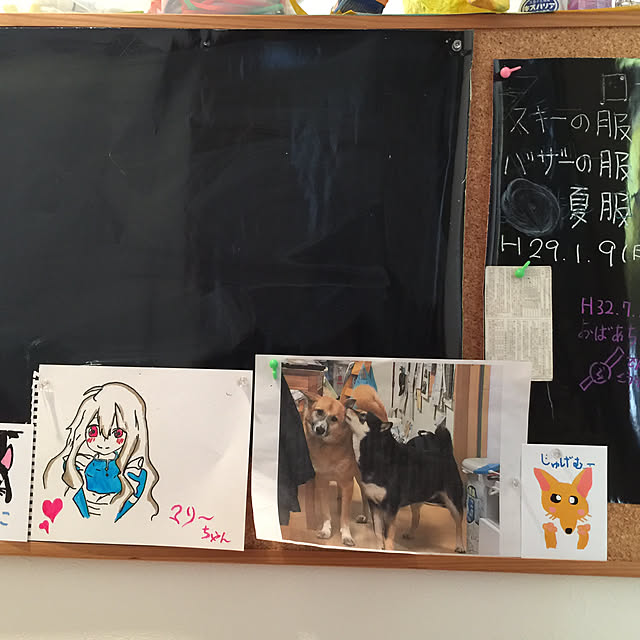 hideさんの実例写真