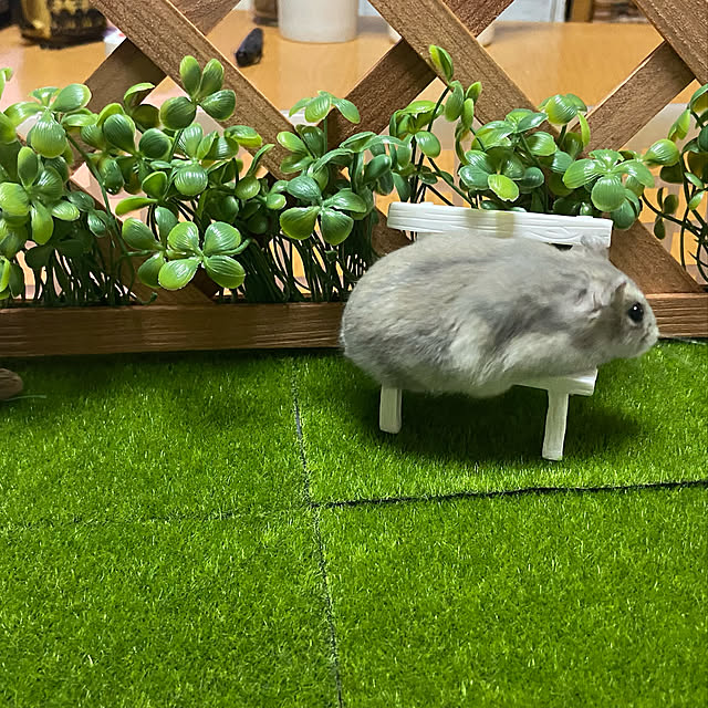 ramuneさんの実例写真