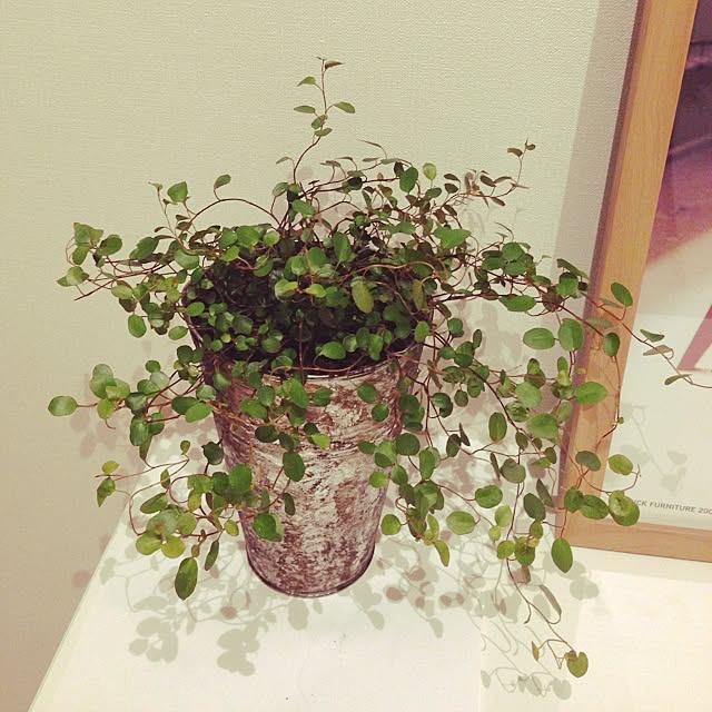 anj.cafeさんの実例写真