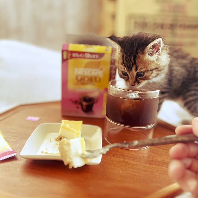 Mさんの部屋