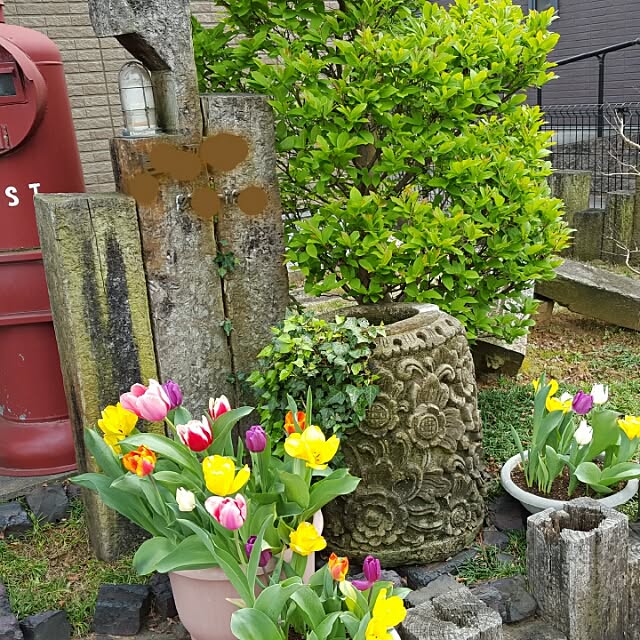 Kaccaさんの実例写真