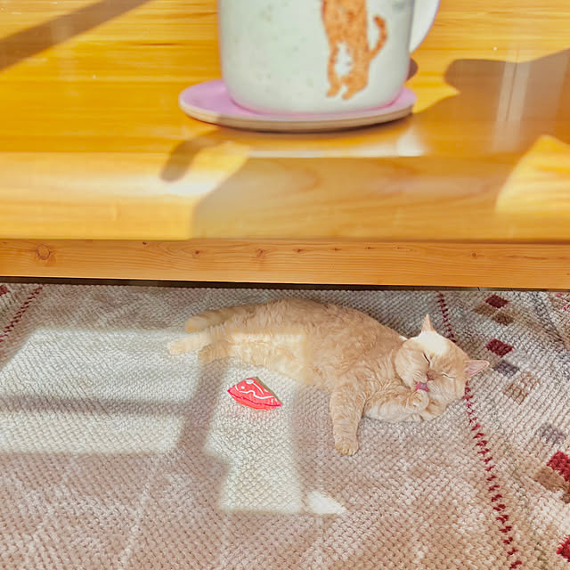 naokoさんの部屋