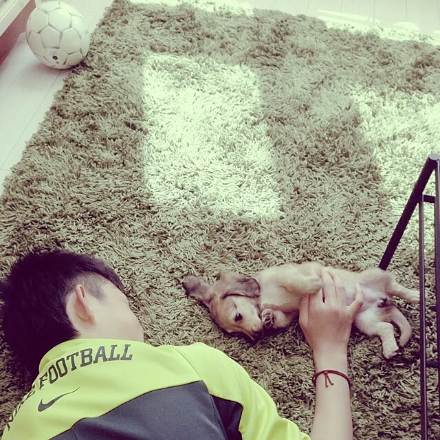 yukinkoさんの実例写真