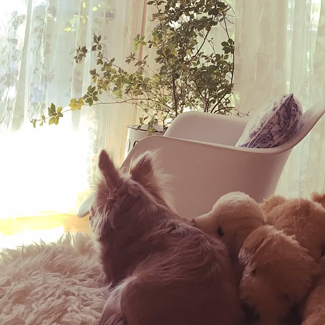 naja..bmさんの実例写真