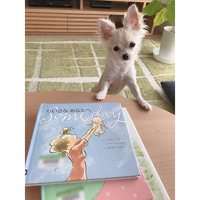 aco64さんの実例写真