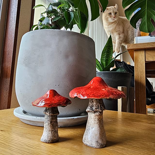 makoさんの部屋