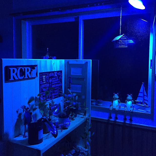 ryuさんの実例写真