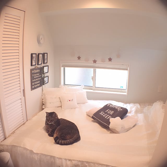 lovecatさんの実例写真