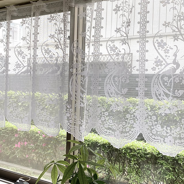 YuuKoさんの部屋