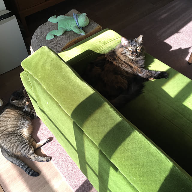 mikomaruさんの実例写真