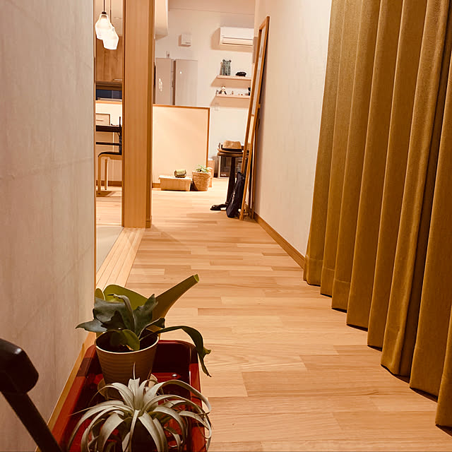 Petiotさんの実例写真