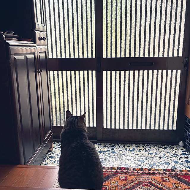 mikan161さんの実例写真