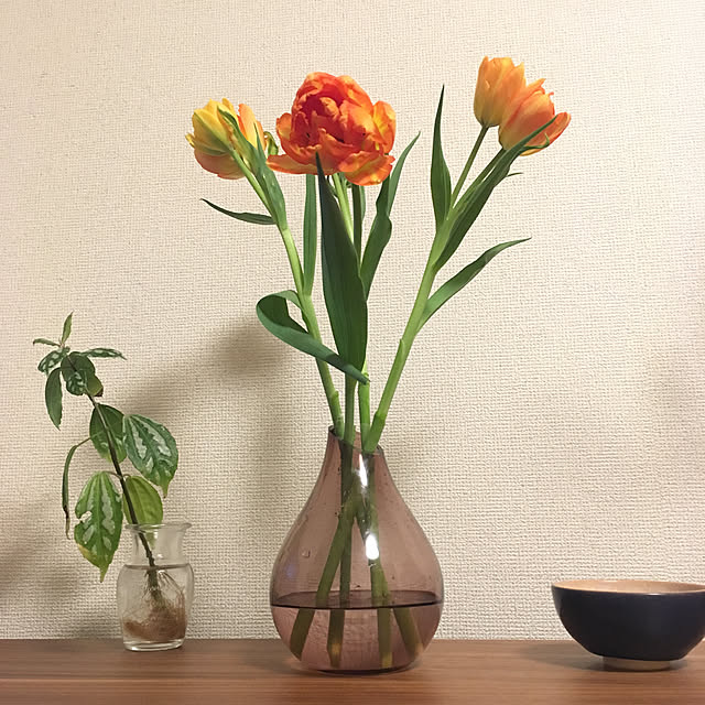 Tomoさんの実例写真