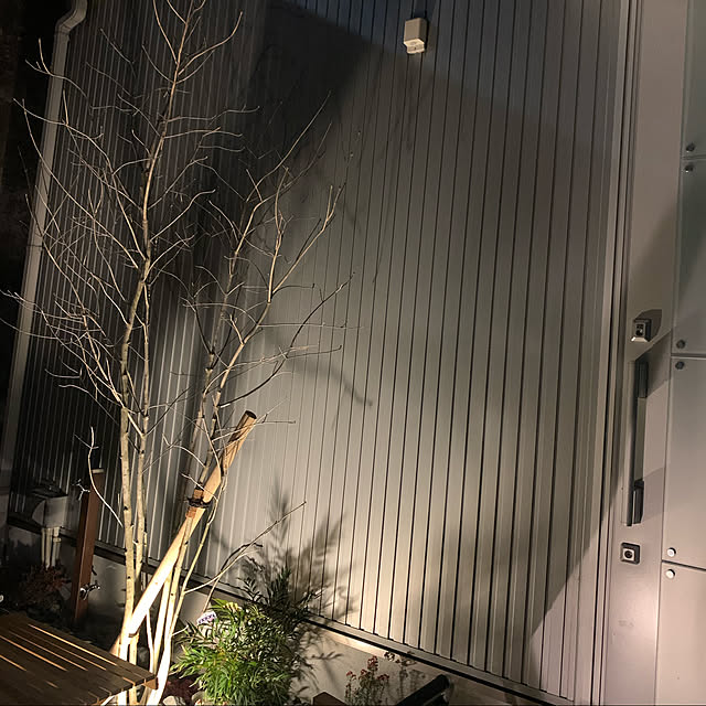 shienaさんの実例写真