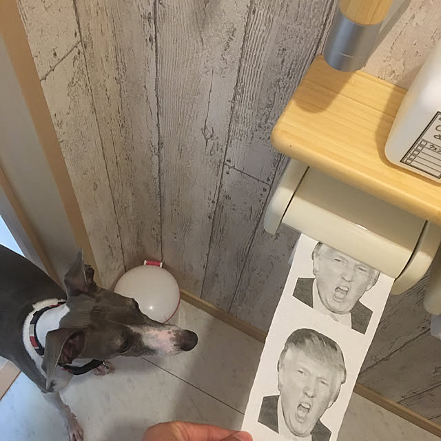 sayumamaさんの実例写真