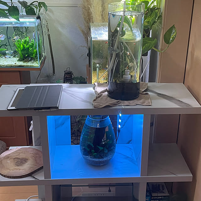 Ny77Coronさんの部屋