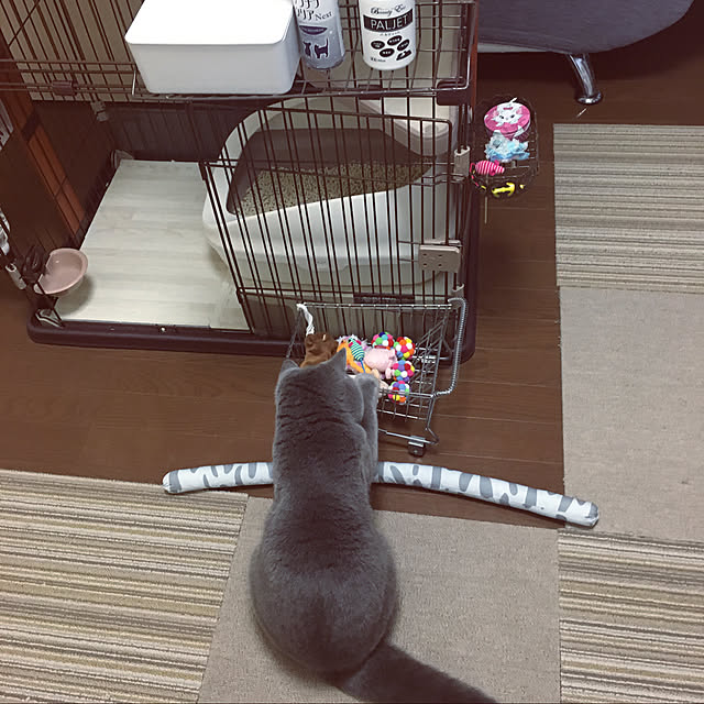 kittyさんの実例写真