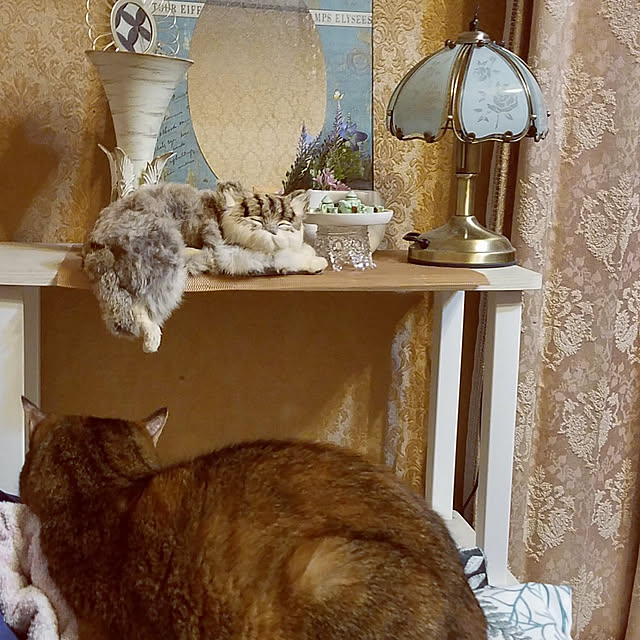 minyan.nekoさんの実例写真