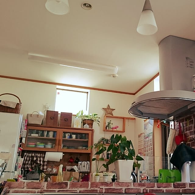 Norikoさんの実例写真