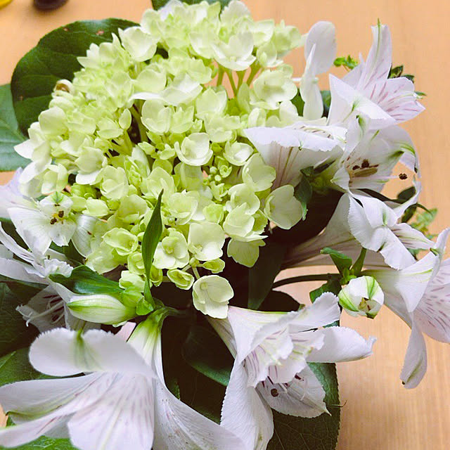 himawari2さんの実例写真