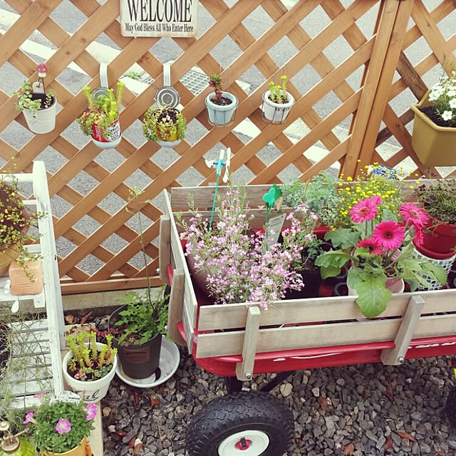 seiさんの実例写真