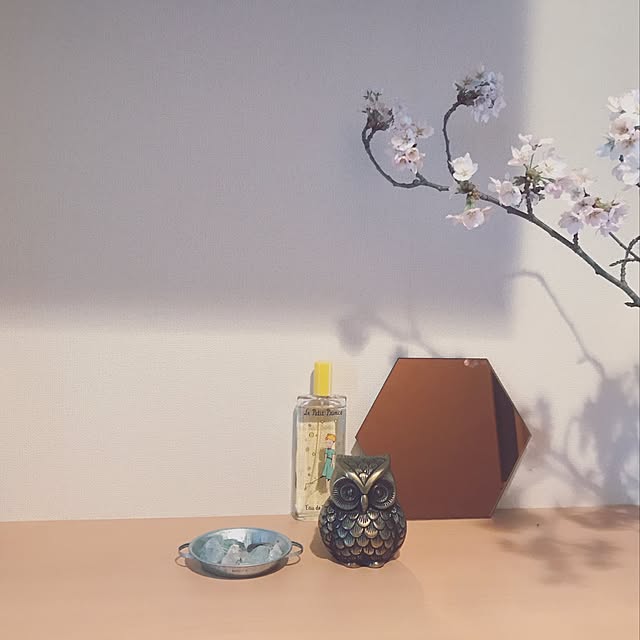 mixerさんの実例写真