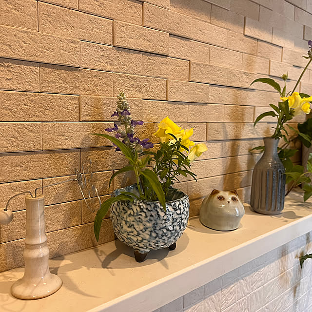 kojimasaさんの部屋