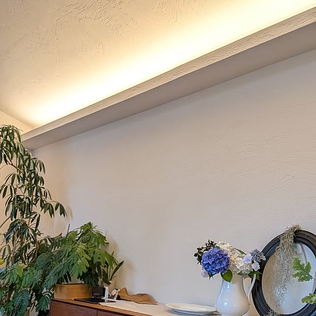 nolleyさんの部屋