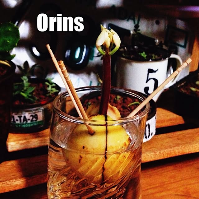 Orinsさんの実例写真