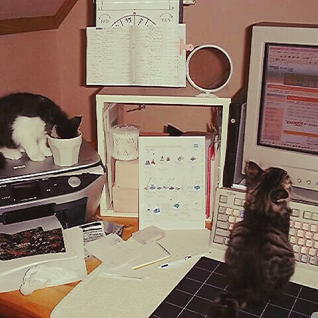 実例写真