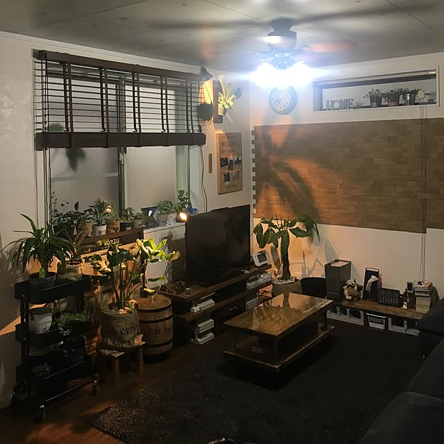 実例写真