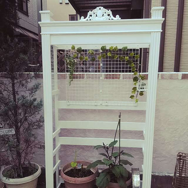 hasano_jpさんの実例写真
