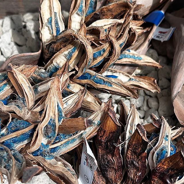 okyame-chanさんの部屋