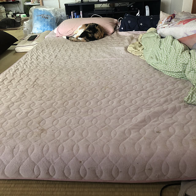 kanadeさんの実例写真