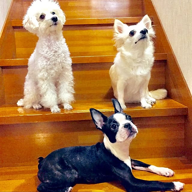 kurumeruさんの実例写真