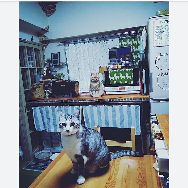 mntcさんの実例写真
