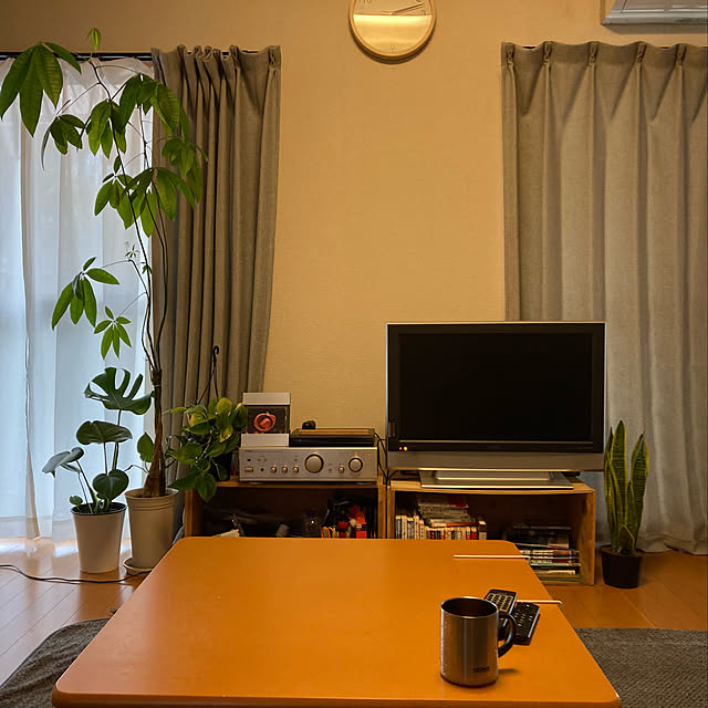 実例写真