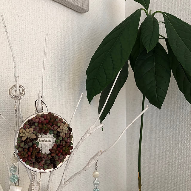 mikenekoさんの部屋