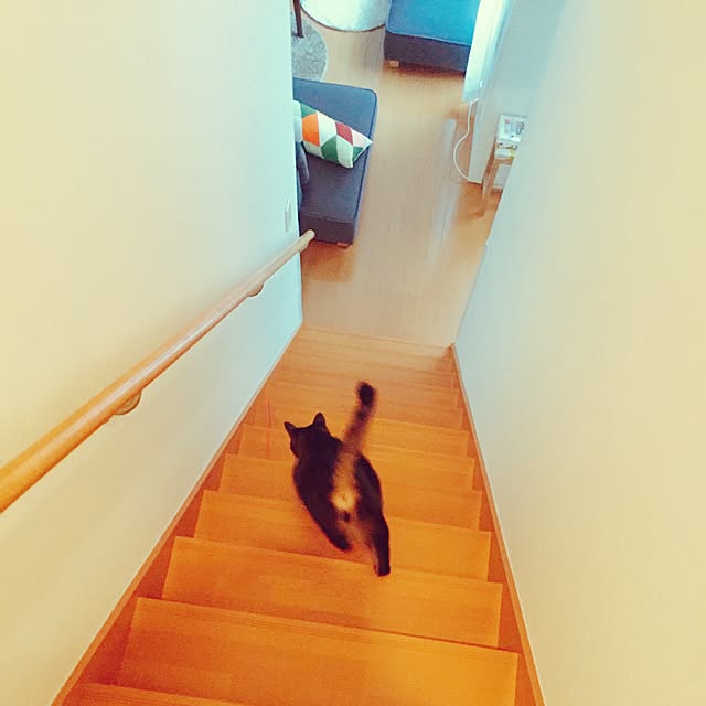 nyan.73さんの実例写真