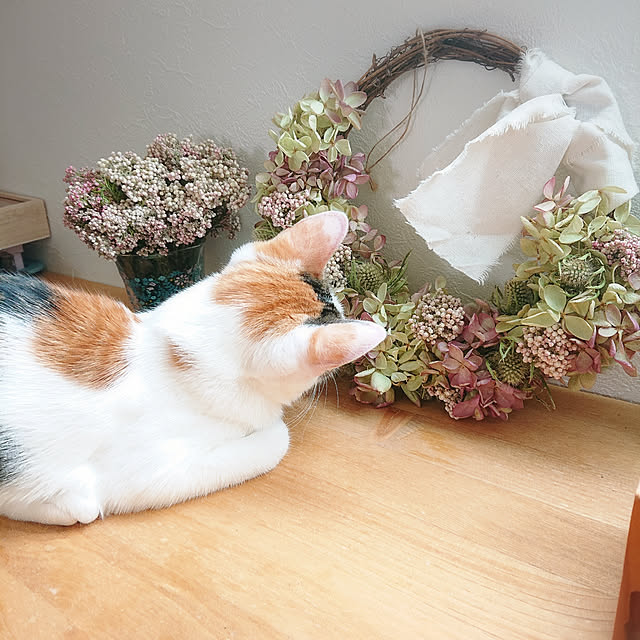 Gomaさんの実例写真