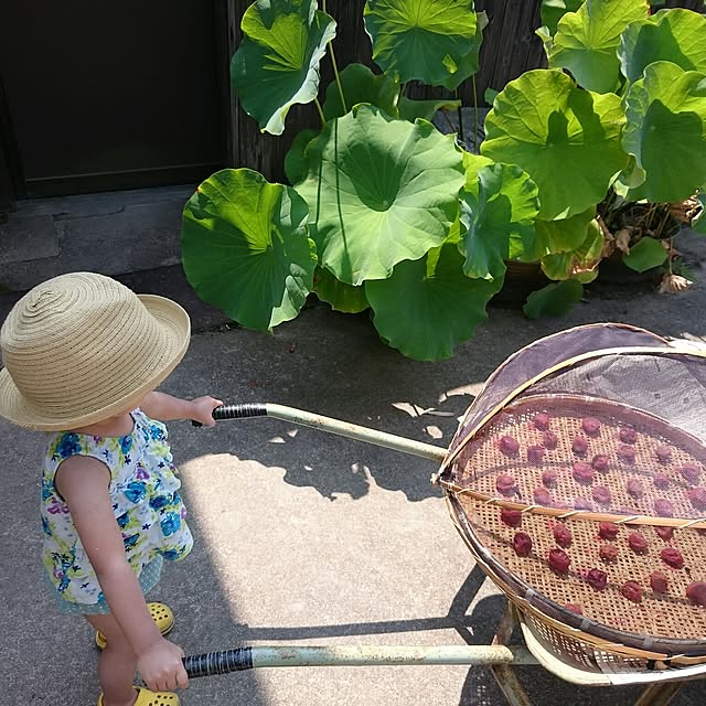 monblanさんの実例写真